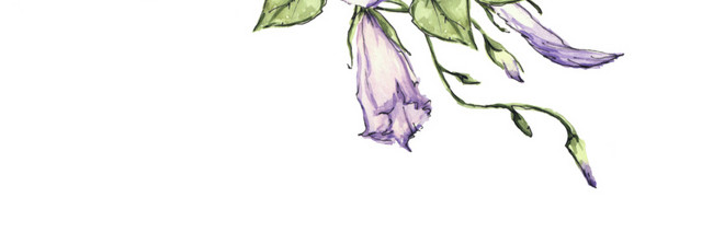 花枝叶矢量素材