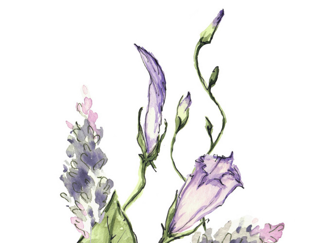 漂浮花枝叶矢量素材