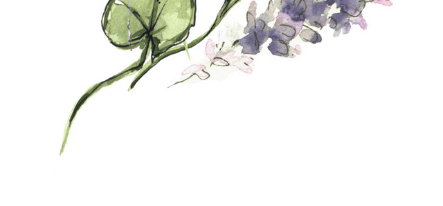 漂浮花枝叶矢量素材