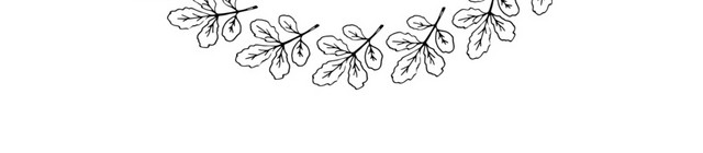 圆形树枝树叶素描铅笔矢量素材
