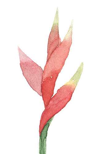 一枝红色花矢量素材