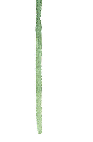 一枝红色花矢量素材