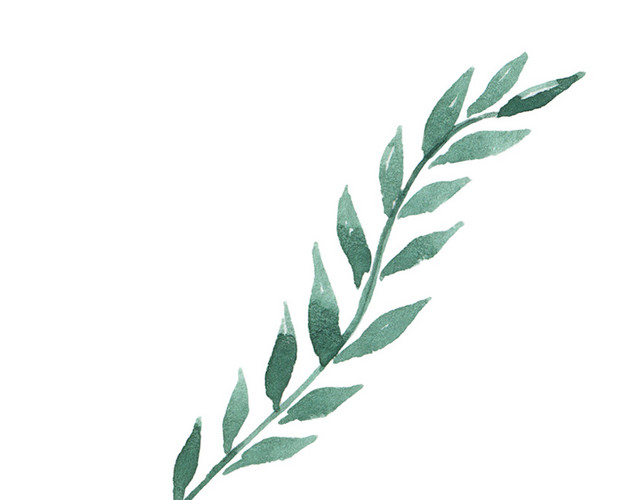 绿色草树叶矢量素材