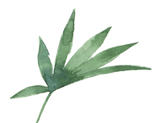 墨绿色树枝树叶矢量素材
