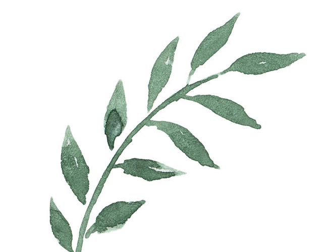 墨绿色草树叶矢量素材