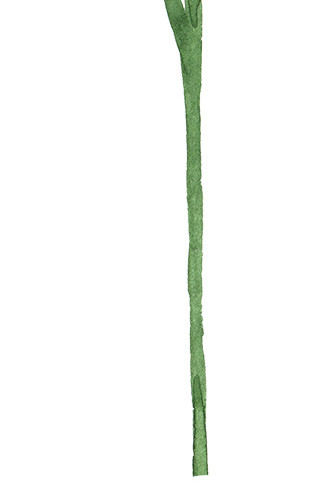 一枝红色花矢量素材