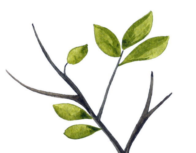 植物树枝树叶矢量素材