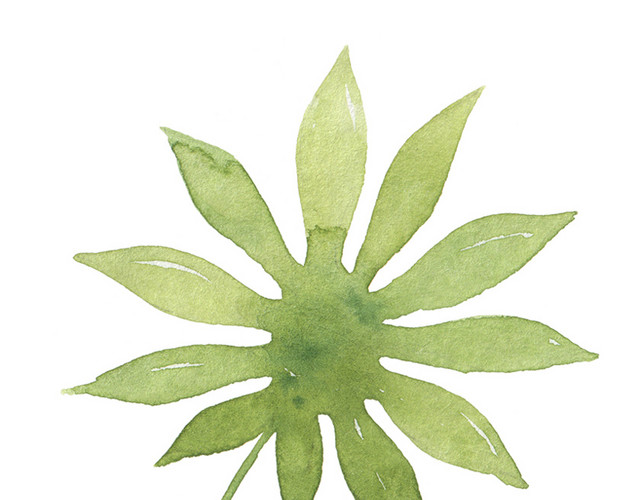绿色草树叶矢量素材