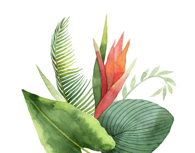 红色花绿色树枝树叶矢量素材