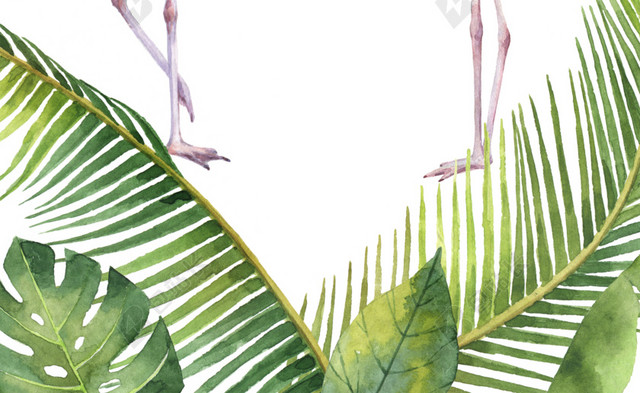 植物鸵鸟矢量素材