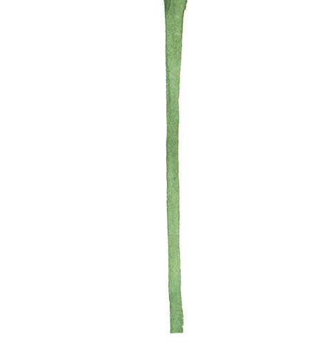 一朵红色花矢量素材