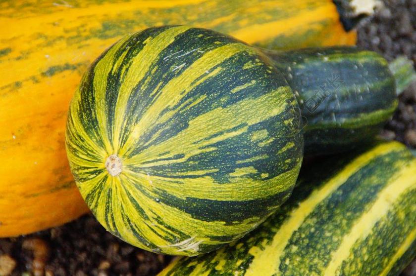 南瓜 冬瓜 装饰 秋季 秋