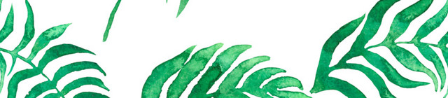 散乱绿色枝叶植物矢量素材