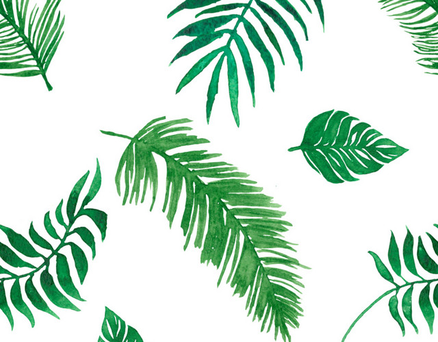 散乱绿色枝叶植物矢量素材
