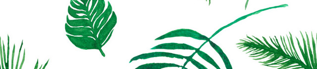 散乱绿色枝叶植物矢量素材