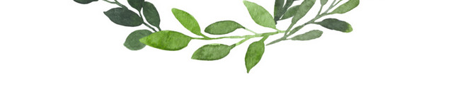 圆形绿色枝叶植物矢量素材