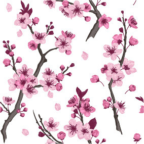 典雅中国风粉色桃花梅花各角度背景素材