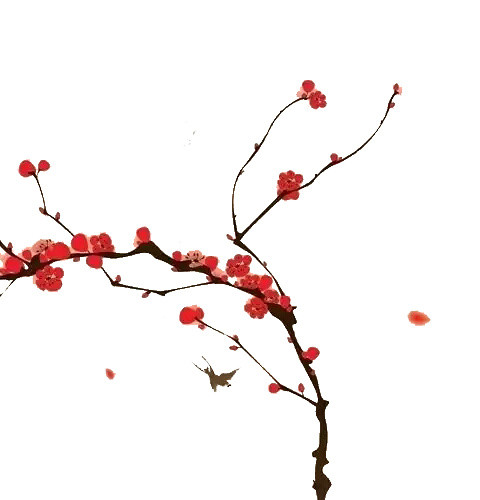中国风水墨梅花素材