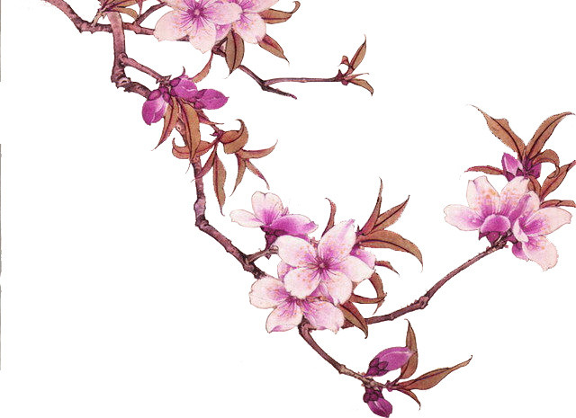 水墨桃花素材