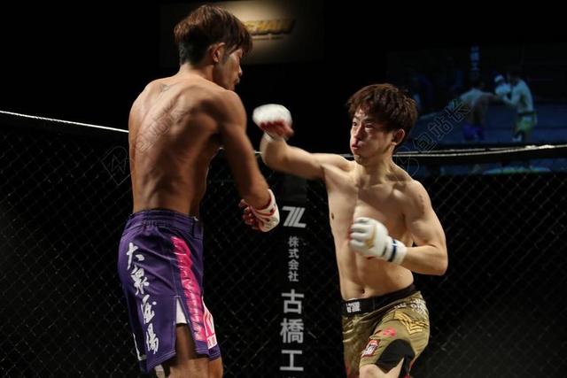 甲基丙烯酸甲酯 GRACHAN 混合的武术 日本 武术