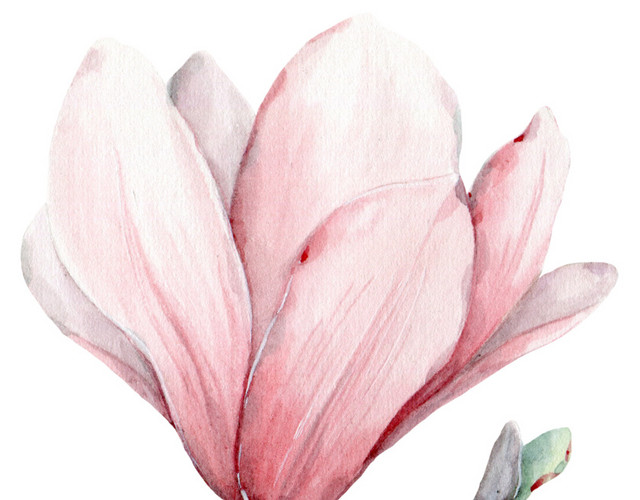彩绘花朵素材