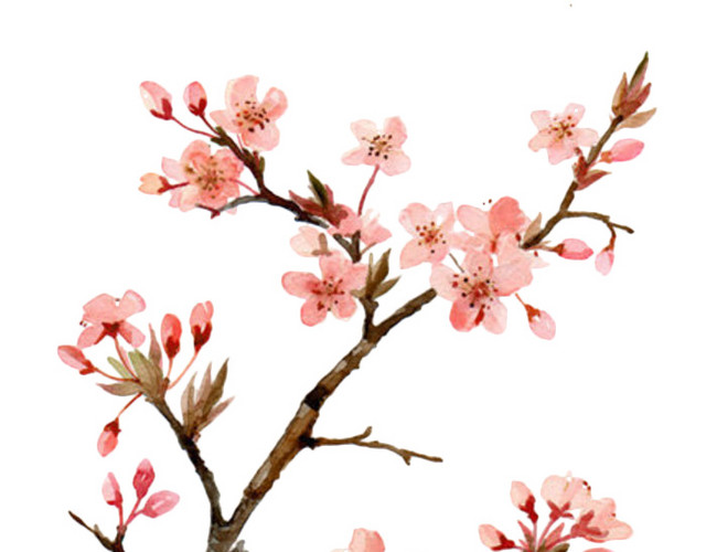 水墨桃花素材