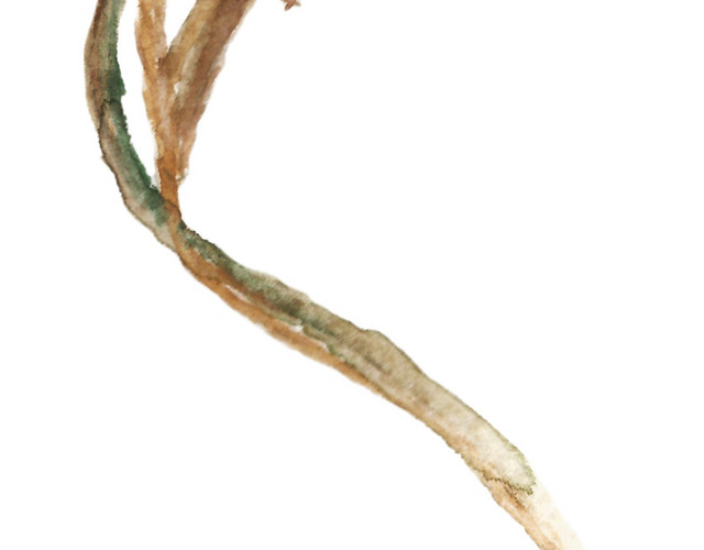 绳子素材