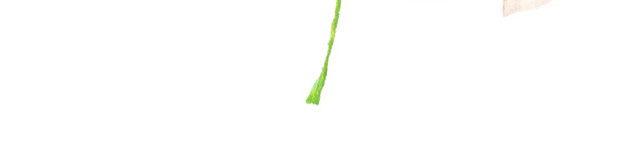水彩手绘植物花朵素材