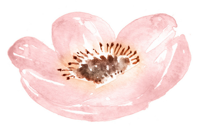 水彩花素材