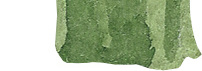 小草素材