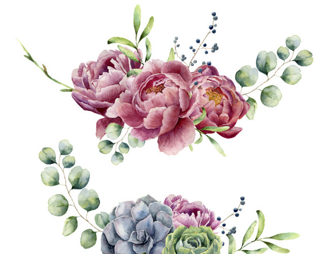 水彩手绘花卉插画素材