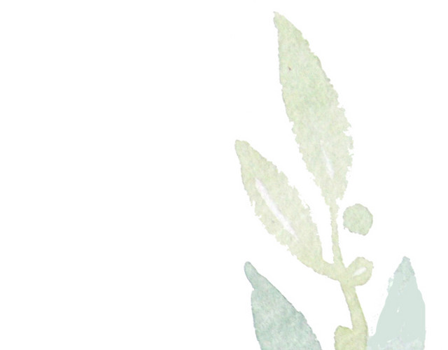 水彩绿植叶子素材
