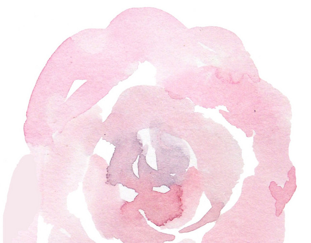 小清新牡丹花插画素材