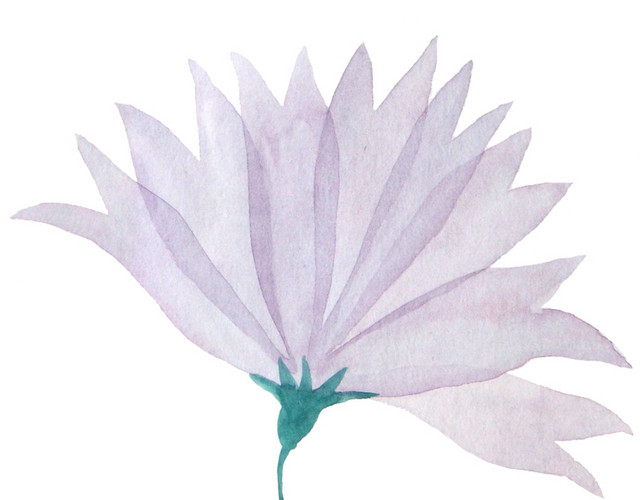 唯美花卉设计素材