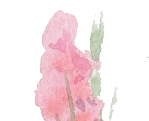 唯美花卉边框素材