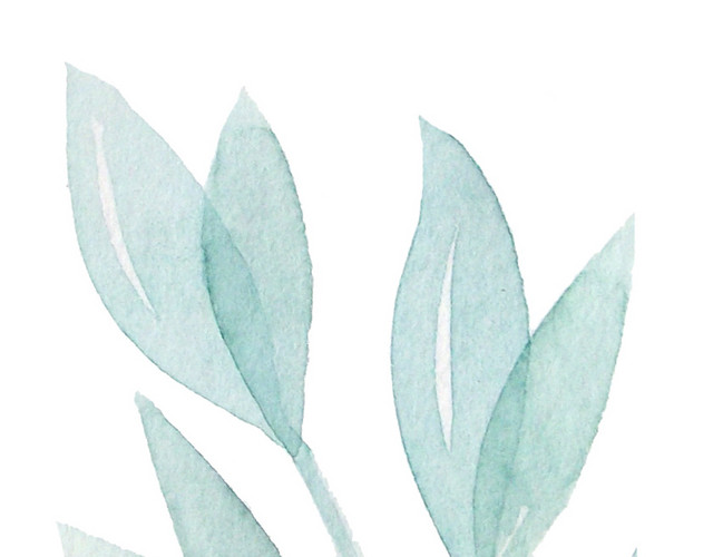 水彩绿植叶子素材