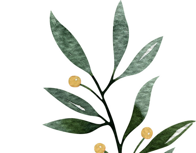 水彩文艺绿植花卉素材