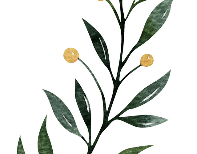 水彩文艺绿植花卉素材