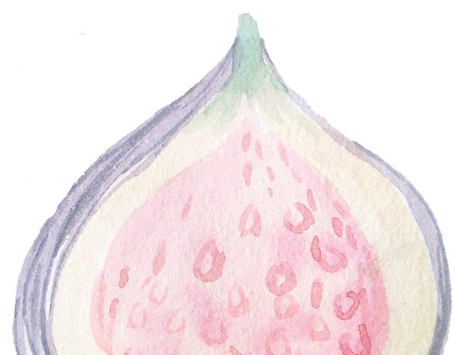 唯美水彩无花果素材