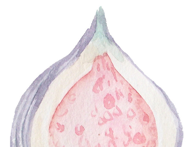 水彩清新无花果装饰素材