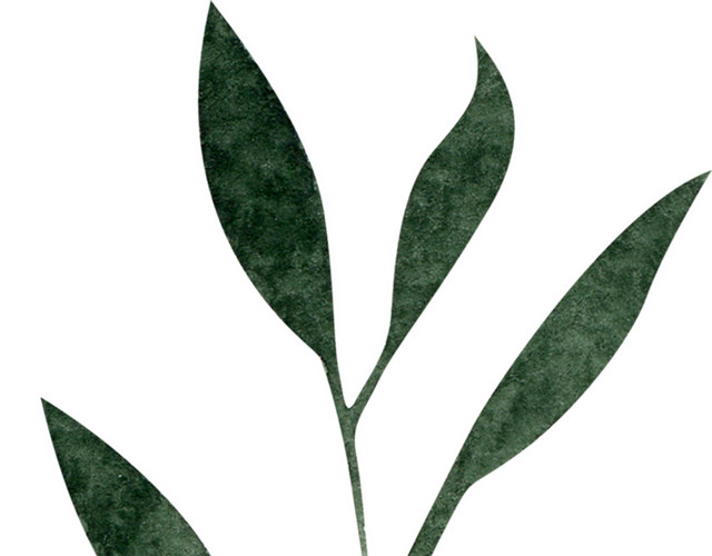 唯美水彩绿色植物素材