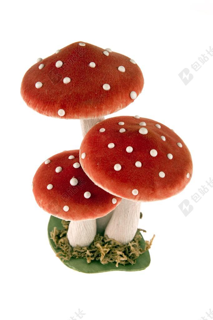 毒蕈 蘑菇 一些 人工 红色 白 饰品 装修 静物
