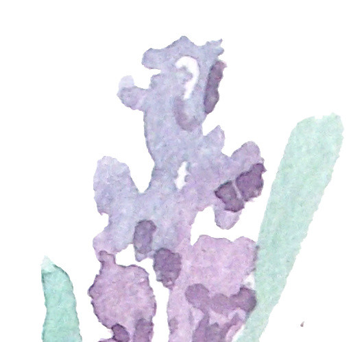 文艺清新花朵水彩素材