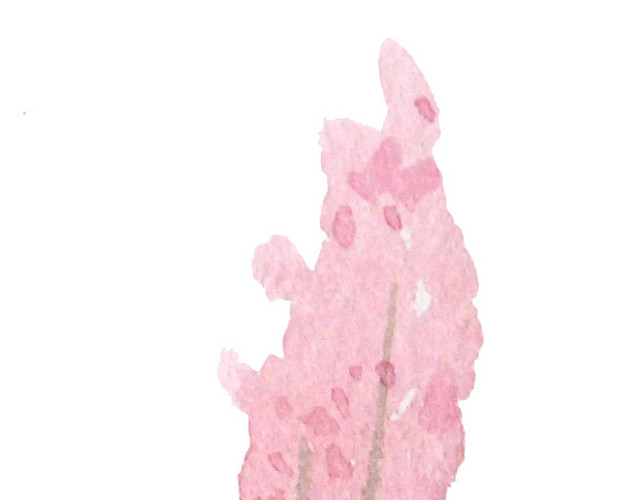 水彩文艺花卉素材