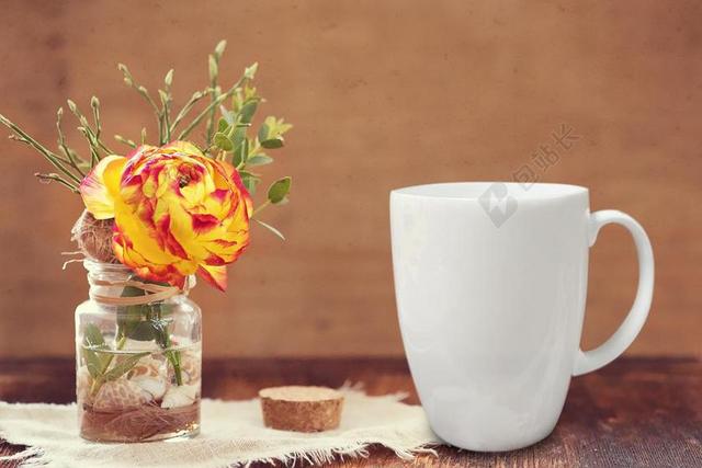 花 花瓶 杯 装修 光明 花的 白