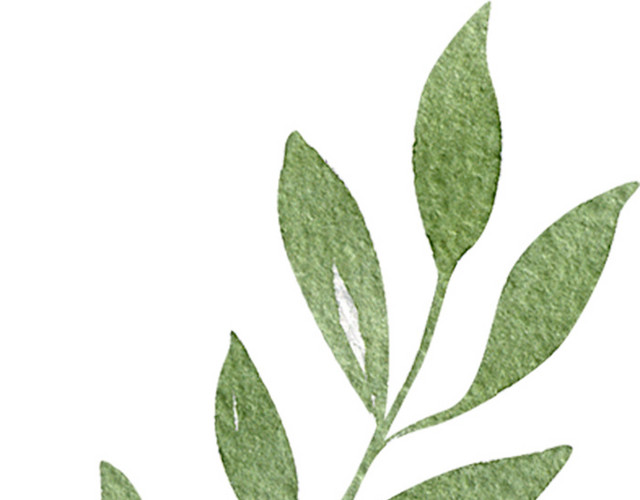 简约清新水彩植物素材