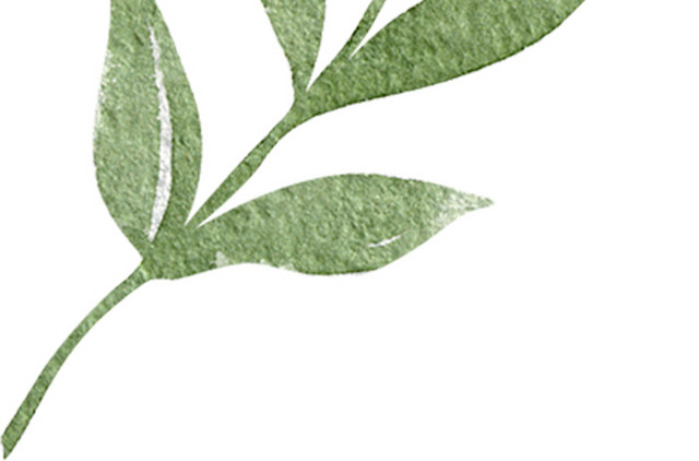 简约清新水彩植物素材