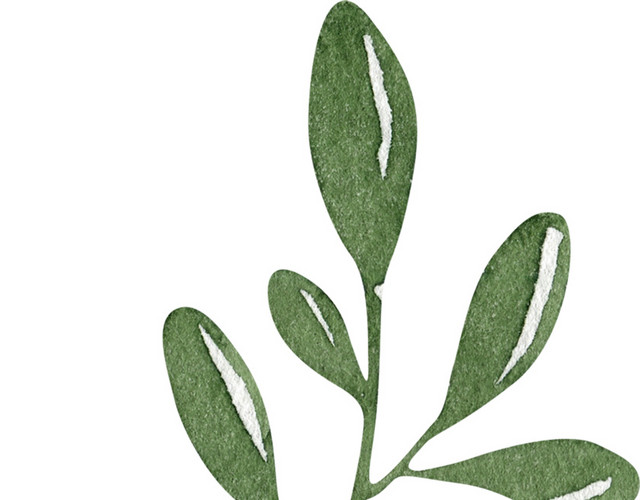 手绘绿色植物素材