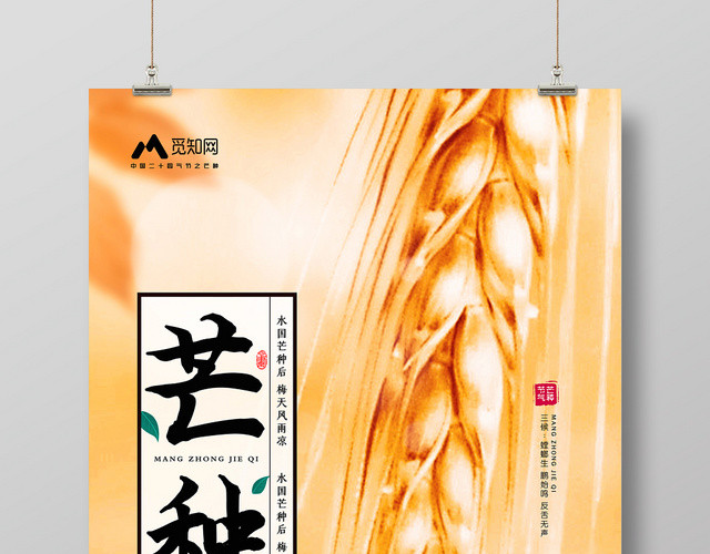 水国芒种后梅天风雨凉二十四节气芒种宣传海报