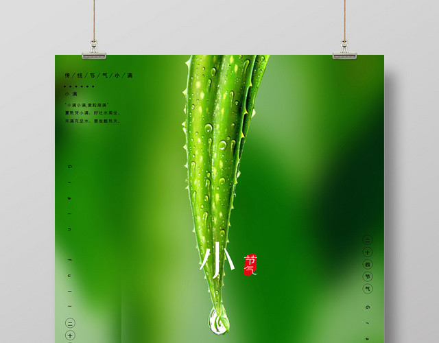 中国传统二十四节气小满绿色宣传海报